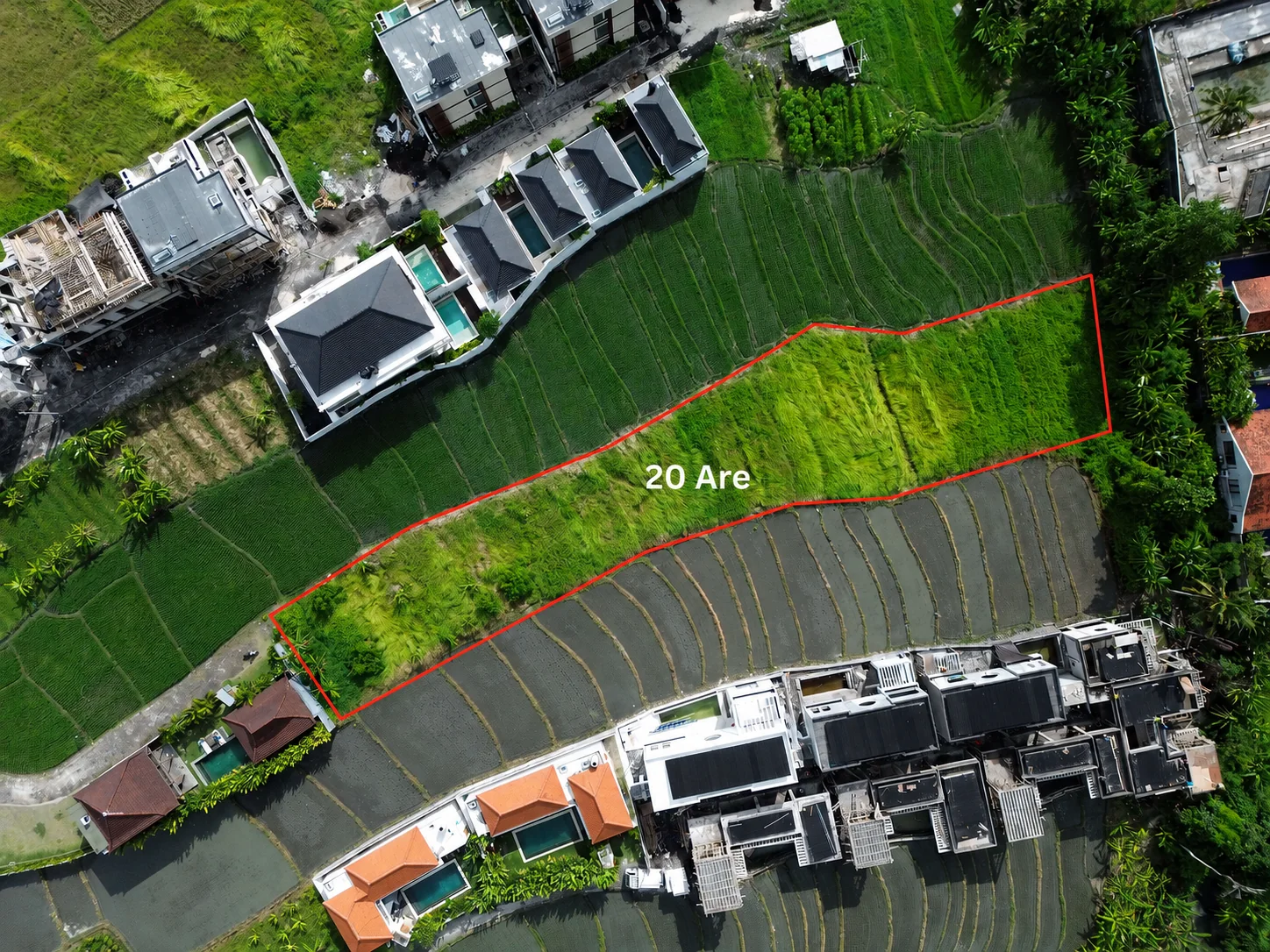 The block from directly above