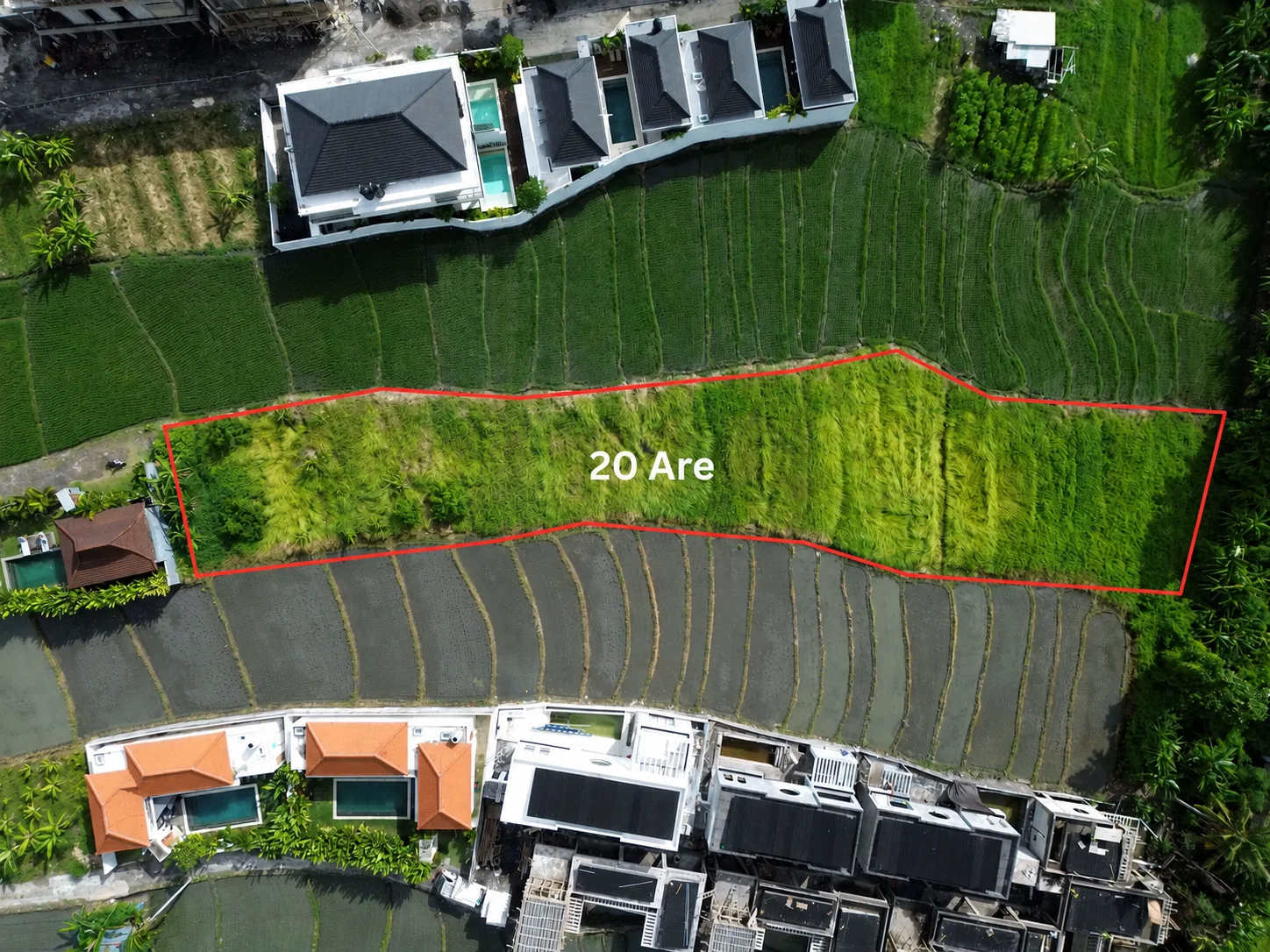 The block and the terraces behind it